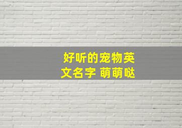 好听的宠物英文名字 萌萌哒